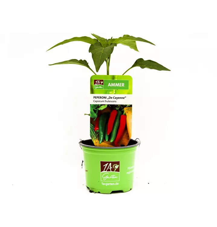Peperoni 'De Cayenne'