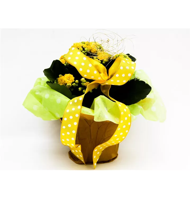 1A Garten Arrangement