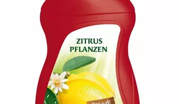 Bildvorschau