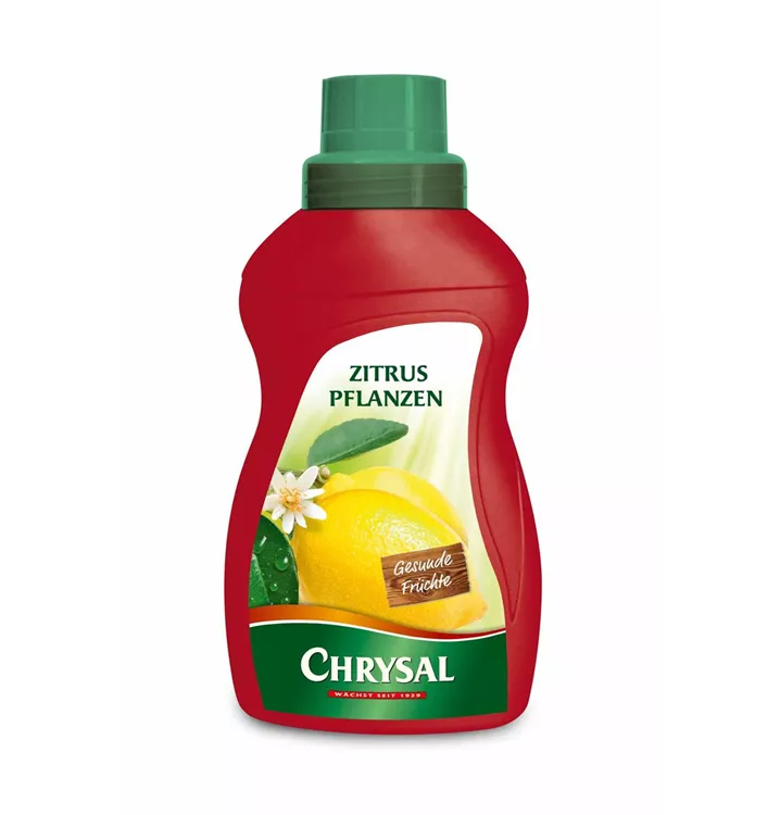 Chrysal