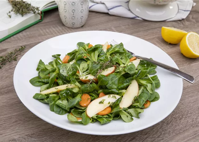 Salat mit Thymian-Honig-Dressing