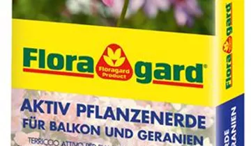 Bildvorschau