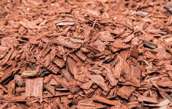 Mulchen im Garten – so geht es richtig!