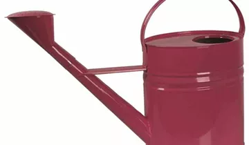 Bildvorschau