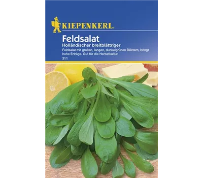Feldsalat Holl. breitblättriger