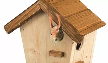 Bildvorschau