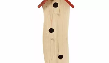 Bildvorschau