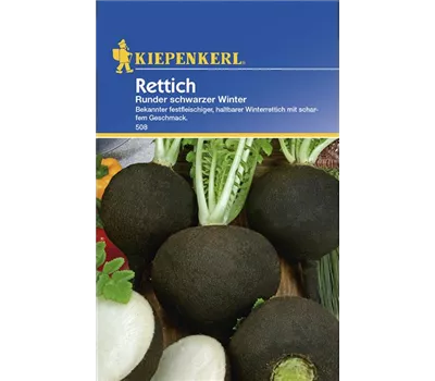 Rettich runder schwarzer Winter Rettich runder schwarzer Winter