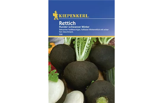 Rettich runder schwarzer Winter