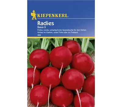 Radieschen Saxa 3
