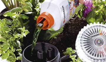 1A Garten Ammer