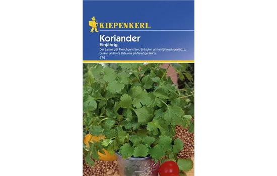 Koriander einjährig