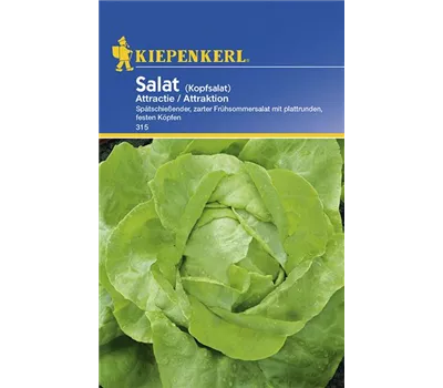 Kopfsalat Attractie