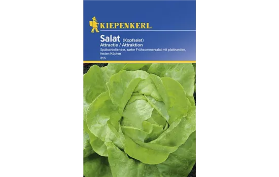 Kopfsalat Attractie