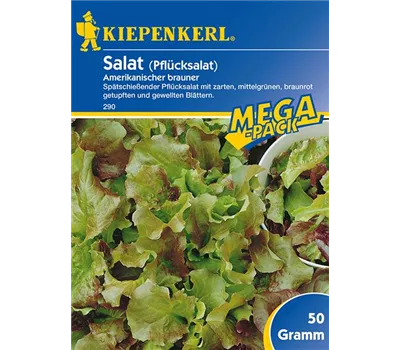 Pflücksalat Amerikanischer brauner