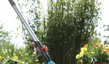 1A Garten Ammer