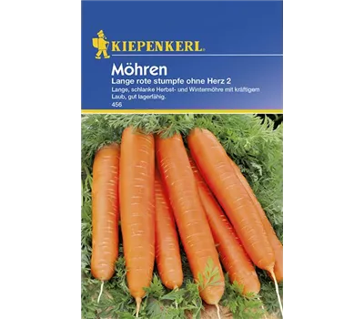 Möhren Lange rote stumpfe ohne Herz 2