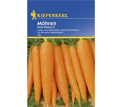 Möhren Rote Riesen 2