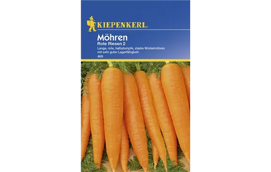 Möhren Rote Riesen 2