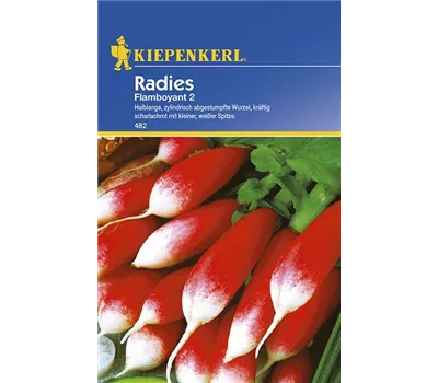 Radieschenchen Flamboyant 2