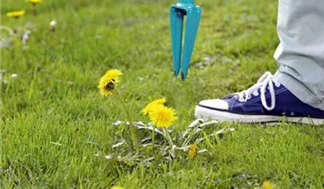 1A Garten Ammer
