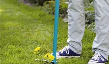 1A Garten Ammer