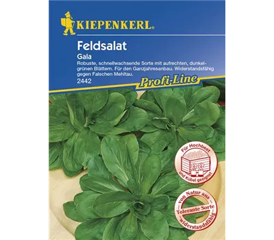 Feldsalat Gala