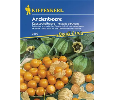 Andenbeere Kapstachelbeere Andenbeere Kapstachelbeere