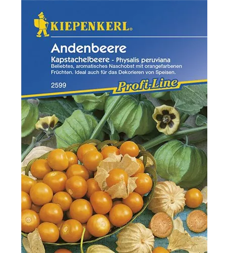 Andenbeere Kapstachelbeere Andenbeere Kapstachelbeere