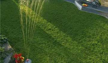 1A Garten Ammer