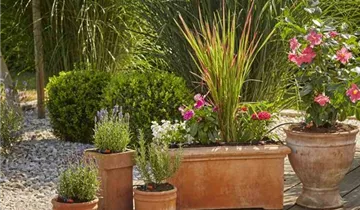 1A Garten Ammer