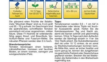Bildvorschau