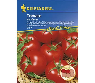 Tomaten Harzfeuer, F1