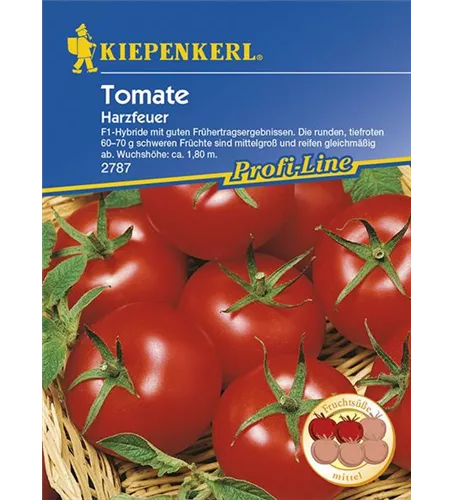 Tomaten Harzfeuer, F1