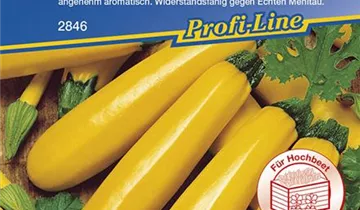 Bildvorschau