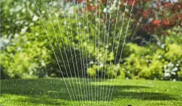 1A Garten Ammer