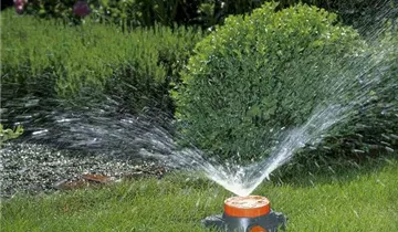 1A Garten Ammer