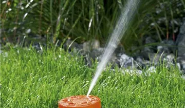 1A Garten Ammer