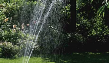 1A Garten Ammer