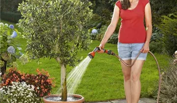 1A Garten Ammer