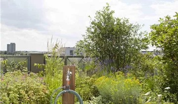 1A Garten Ammer