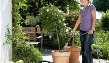 1A Garten Ammer