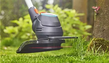 1A Garten Ammer