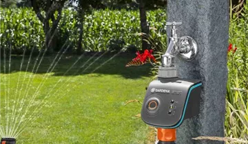 1A Garten Ammer