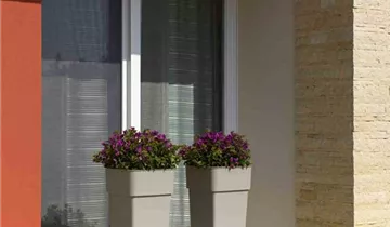 1A Garten Ammer
