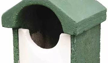 Bildvorschau