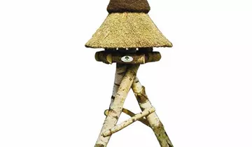 Bildvorschau