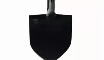 Bildvorschau