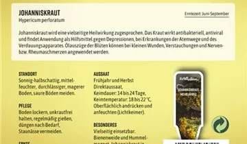 Bildvorschau