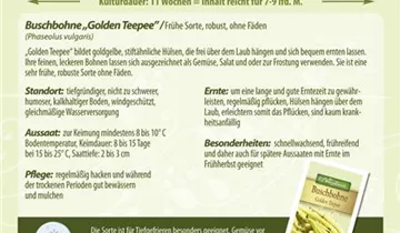 Bildvorschau